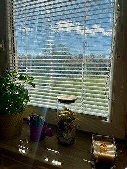 Magický 3-izb. domček, Sľažany, 10,7á záhrada - 13