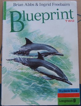 OPENING STRATEGIES, BLUEPRINT INTERMEDIATE, TWO - 13