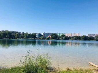 1-izbový apartmán-Rezidencia Draždiak - 13