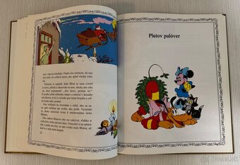 Disney Luxus - 13