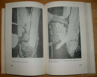 Domáca zakáľačka - 13