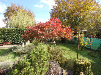 Na predaj rodinný dom, chalupa,  pozemok 1409 m2 v obci Dedi - 13