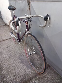Vintage daccordi - 13