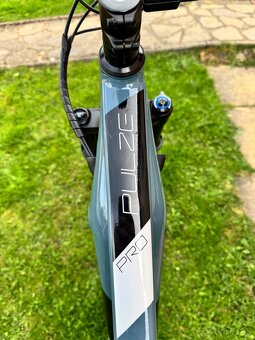 CTM Pulze Pro 29” - 13