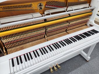 Excelentné piano Hohner dovoz celá SR - 13