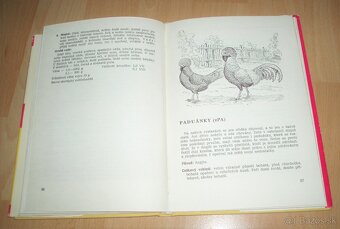 Plemená drubeže - 13