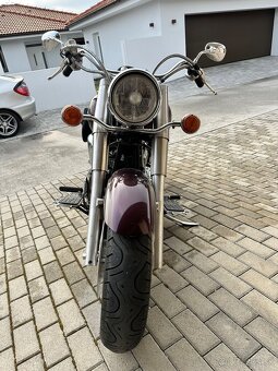 XV 1600 wildstar - 13