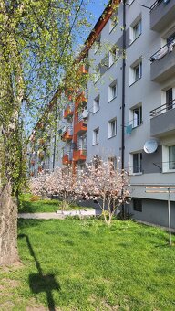 3-izbovy byt - 13