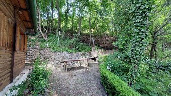 ZÁHRADNA CHATA S VINICOU, JABLONOV NAD TURŇOU - 13