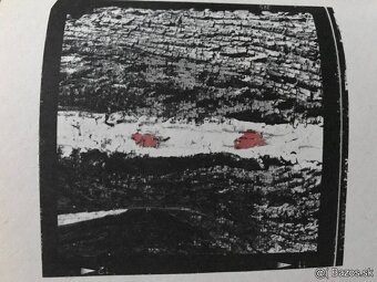 Válek, Štrpka, Ginsberg, Poe, Hemingway, Groch, Krasko - 13