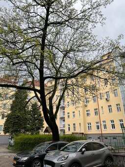 Tehlový 2i byt 57m2 na Trnavskom mýte - Vajnorská - 13