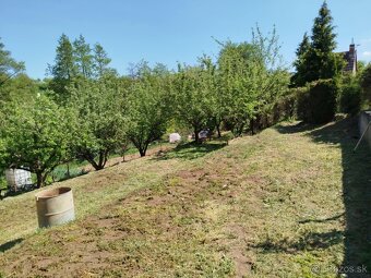 Záhradka s chatou Darmovise - 13