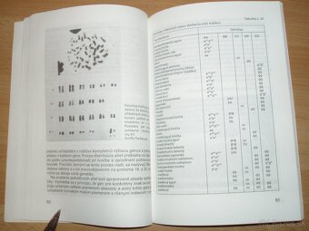 Intenzívny chov brojlerových králikov - 13