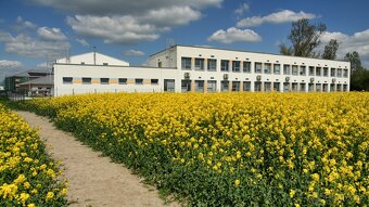 4i Rodinný dom s krásnym výhľadom - 13