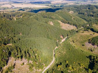 HOSPODÁRSKY LES V OBCI BUDIŠ V OKRESE TURČIANSKE TEPLICE - 13
