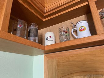 Umelecké pivové poháre z celého sveta - 13