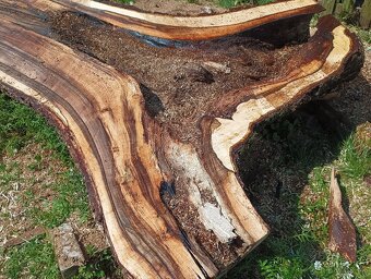 Orechove solitérne fosne na zaliatie živicou - 13