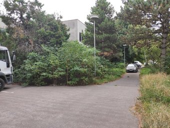 ♻️Čistenie pozemkov, kosenie, mulčovanie.♻️ - 13