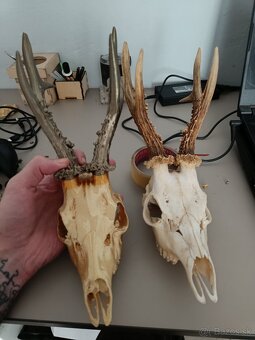 3d sken a 3d tlač - 13