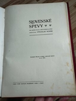 Slovensko 1901 - 13