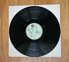 Prodám LP pro sběratele - 13