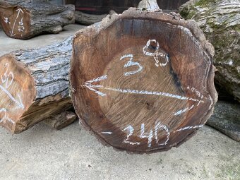 Orechové kmene, guľatina - 13