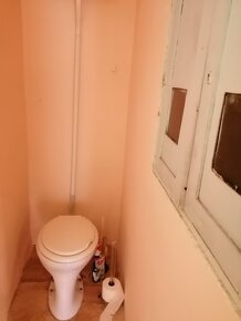 VÝHODNE-DOM Predaj Levice-3 izbový, letná kuchyňa,skleník - 13