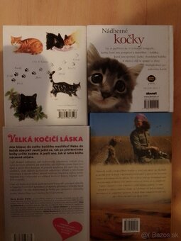 Knihy- mačky, zvieratá, levy, fínčina, Calm (v angličtine) - 13