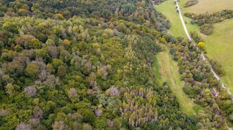 Dúbrava - 1600 m2 LES v podiele 1/1 - 13
