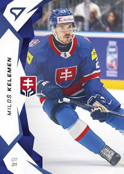 hokejové kartičky - sk hráči - 13