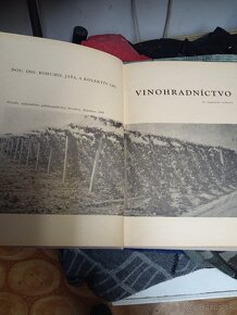 Vinohradníctvo 1969 - 13