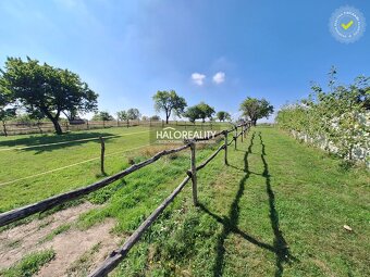 HALO reality - Predaj, rodinný dom Borová, 9.125m2 - EXKLUZÍ - 13