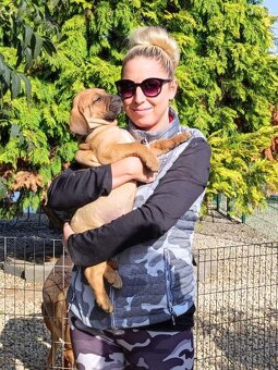 Tosa inu štěnata - přijímáme rezervace - 13