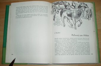 Samé Poľovnícke príhody - 13