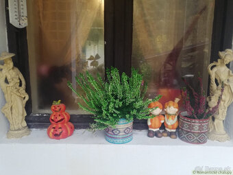 Chalupa dom na bývanie Staré Hory Banská Bystrica - 13