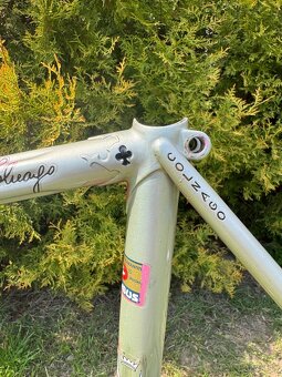 Colnago Arabesque Regal - 13