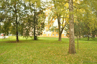 Byt 1+1 sídl. Tarča, Sp. Nová Ves - 13