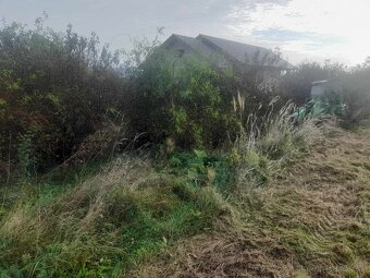Kosenie,mulčovanie,čistenie pozemkov a zanedbaných plôch - 13