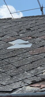 Hodinový manžel - 13