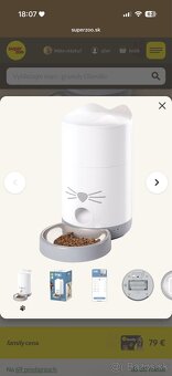 Predám Britských krátkosrstých kocúrikov - 13