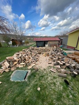 Odstraňovanie tují, úprava záhrad a živých plotov, kosenie - 13