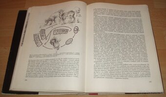 Dutorohá zvěř - 13