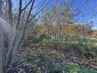 Záhrada 626 m2 v peknej lokalite v Rači na Žabom Majeri za s - 13