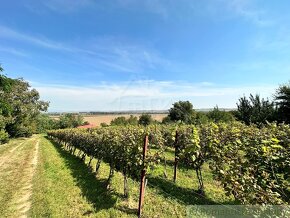 Viničný domček s vinohradom nad malebnou dedinkou Michal - 13