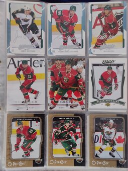 Hokejové kartičky Minnesota Wild - 13