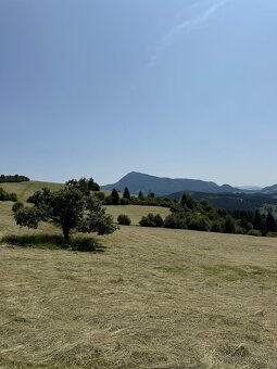 Ponúkam na predaj seno - 13