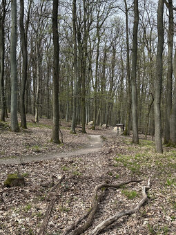 Prenájom- Bratislava III/Koliba - Brečtanová ul. - romantick - 13