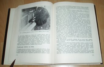 Práce včelára - 13