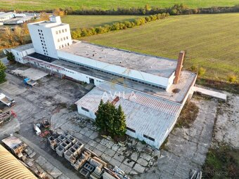 Na predaj: Multifunkčná priemyselná hala v Novom Meste nad V - 13