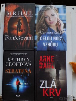 Detektívky- Dan Brown,Linda Howard,Sandra Brown  a iný - 13
